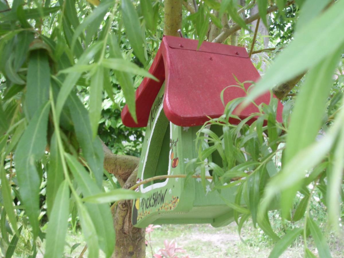 Alloggio in famiglia Ferienwohnung Mit Garten