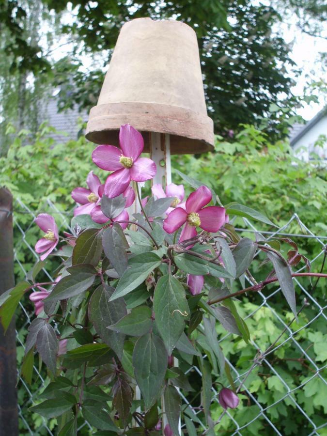 Ferienwohnung Mit Garten Privatunterkunft